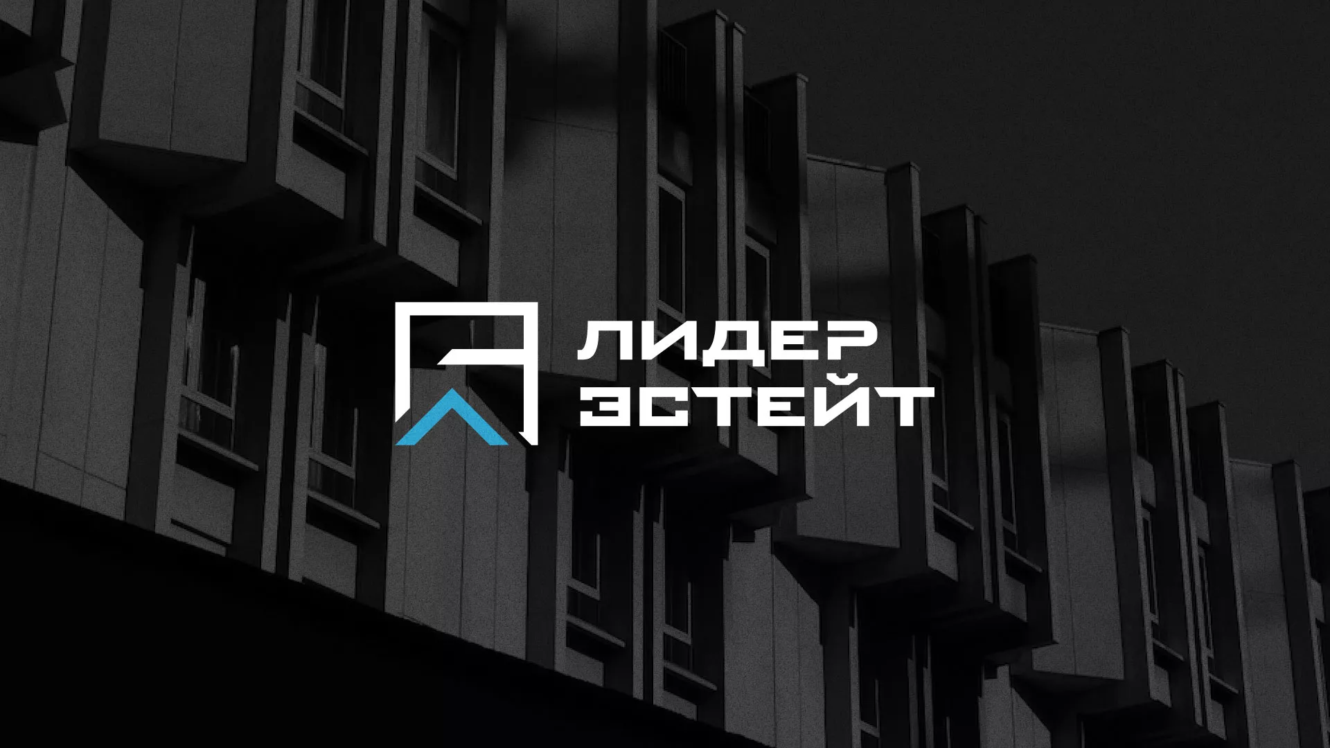 Разработка логотипа агентства недвижимости «Лидер Эстейт» в Абдулино